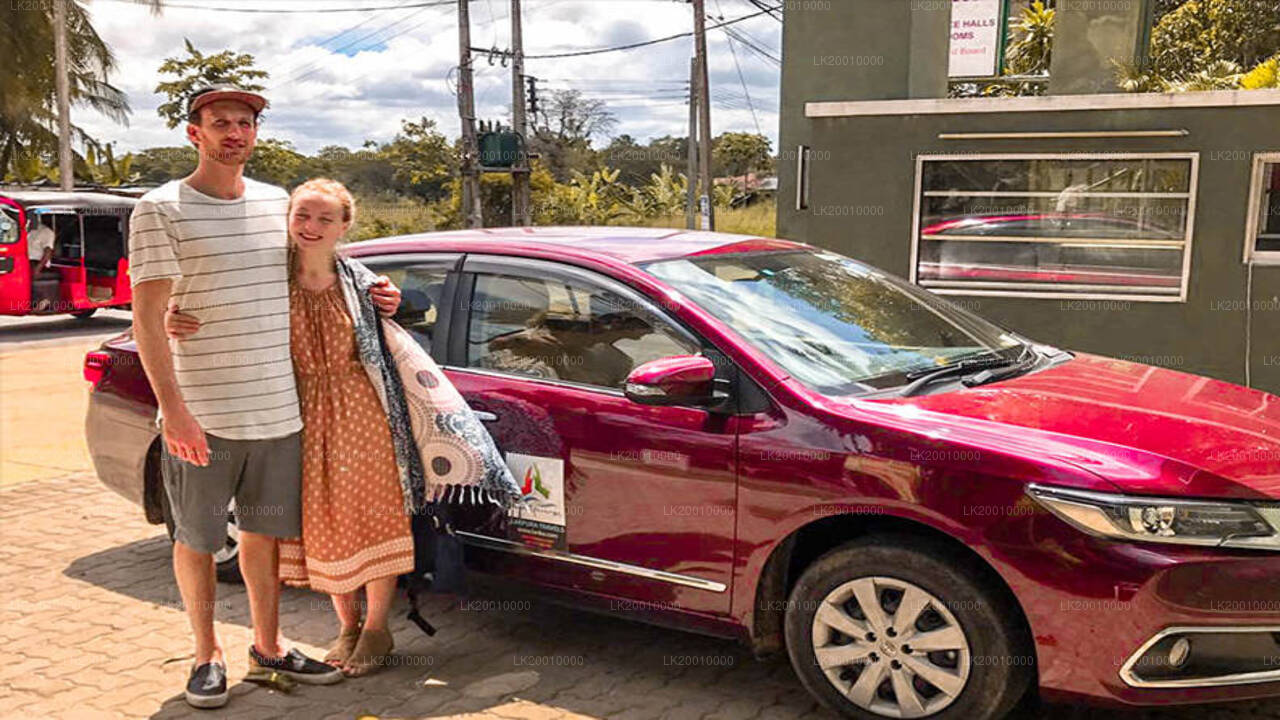 Chauffeur Driven Standard Car Rental