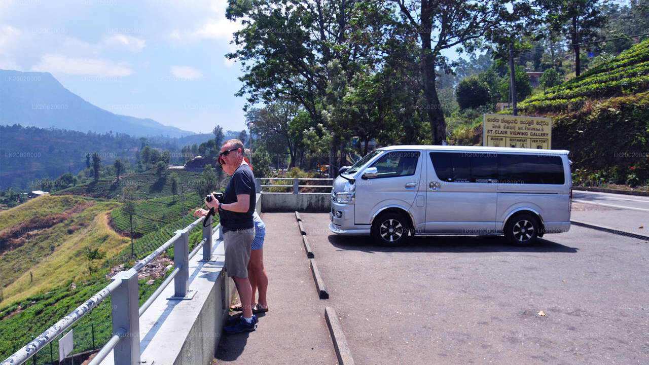 Pronájem standardní dodávky s řidičem
