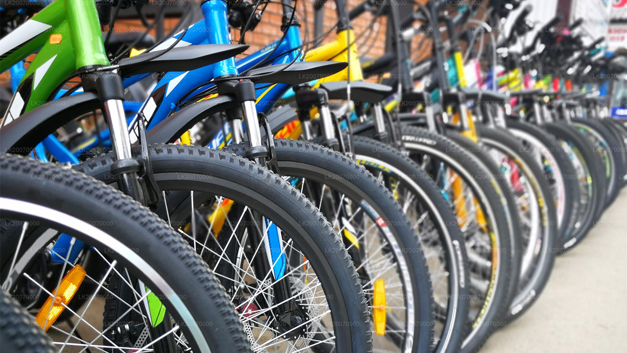 Mountain Bike Rental from Ella