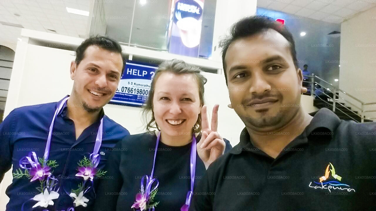 Ratmalana (RML) Airport to Wilpattu City Private Transfer