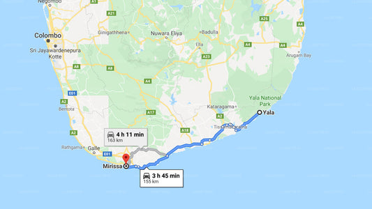 Yala City to Mirissa City Private Transfer