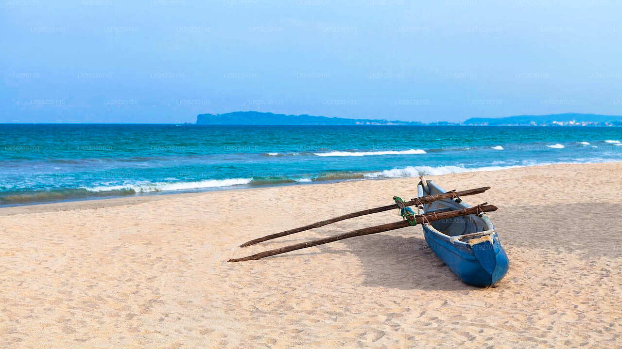 Deep Sea Fishing from Trincomalee