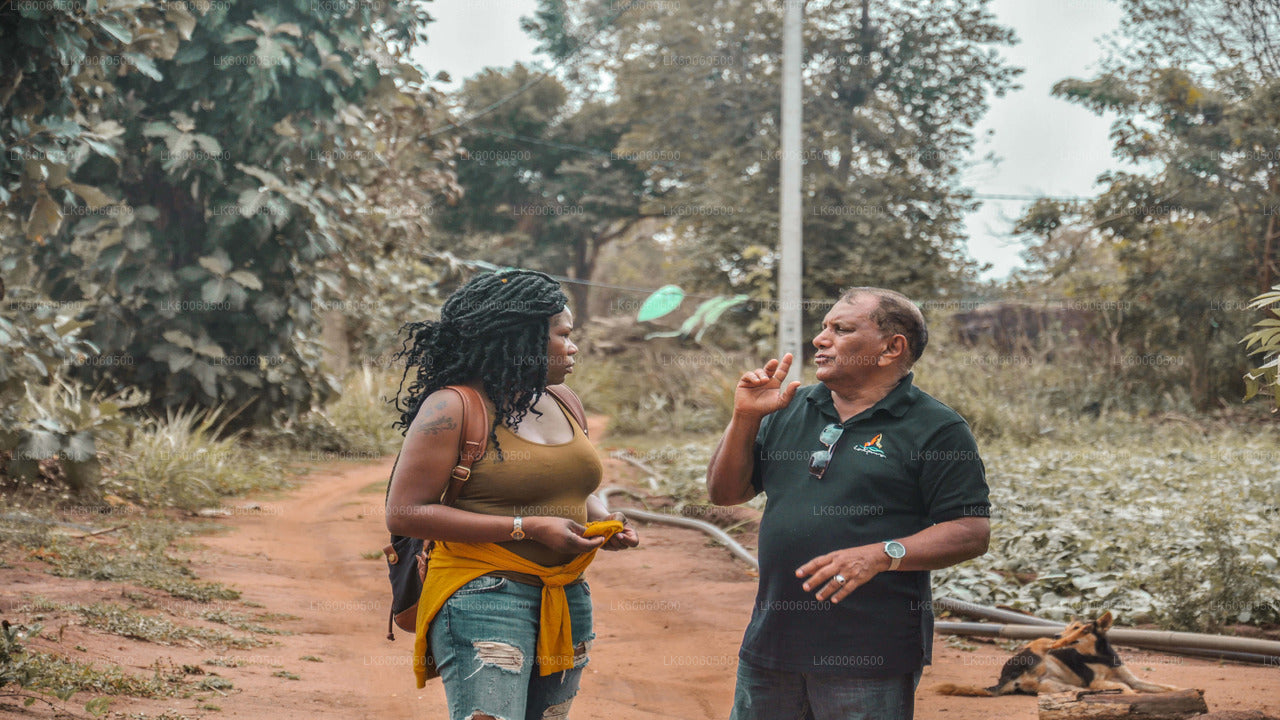 Prohlídka vesnice Hiriwadunna z Habarany