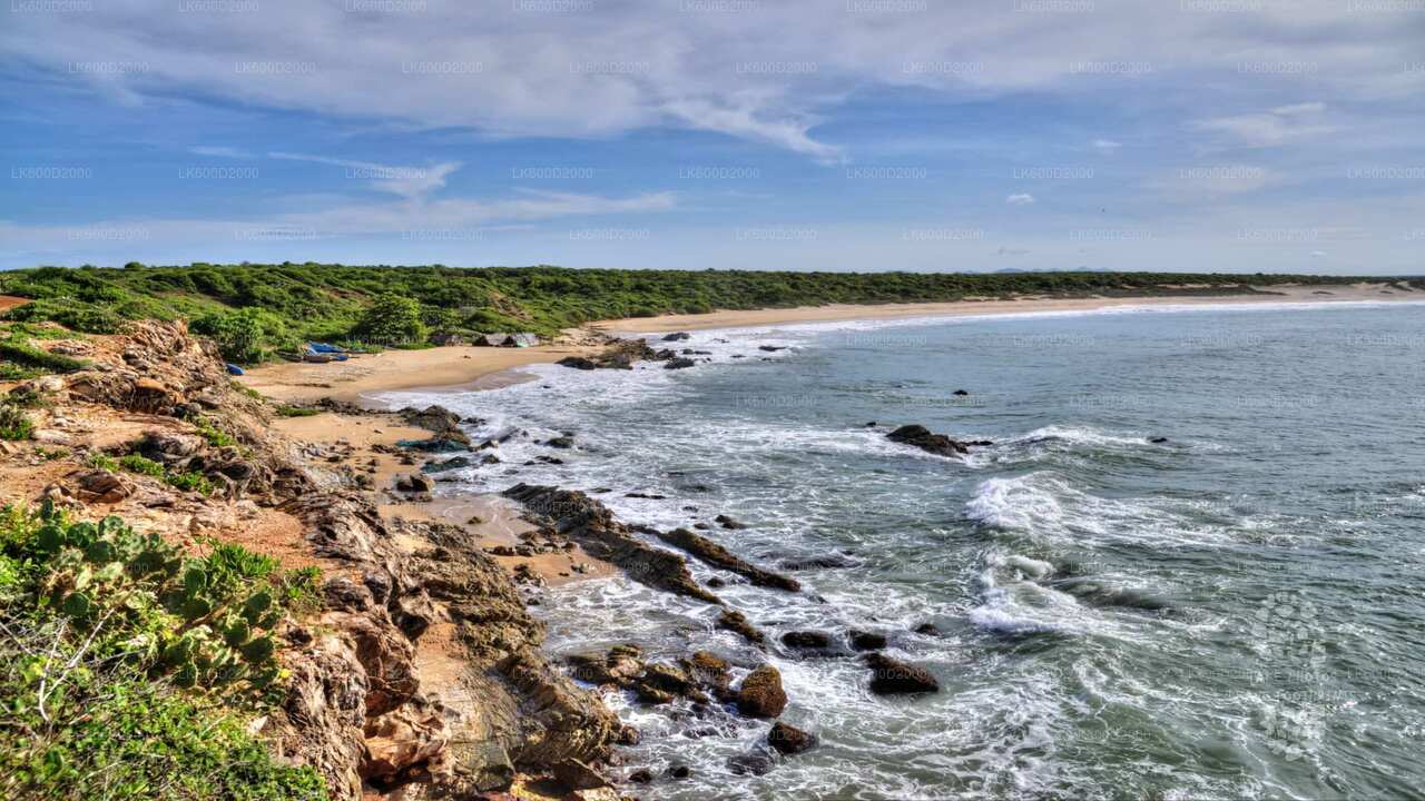 Safari národního parku Bundala z Bentoty