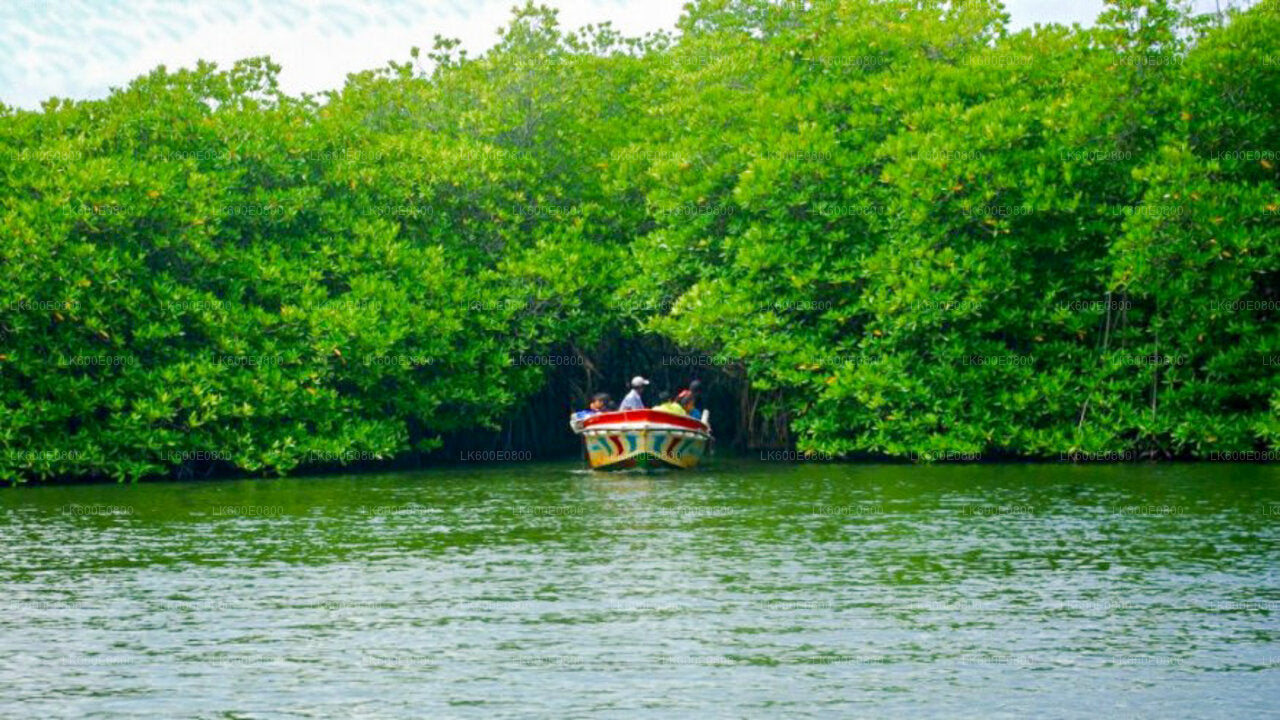 Bentota City Tour a Galle z Beruwala