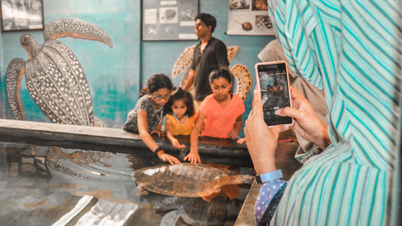 Handungoda, Galle a Kosgoda z Colomba