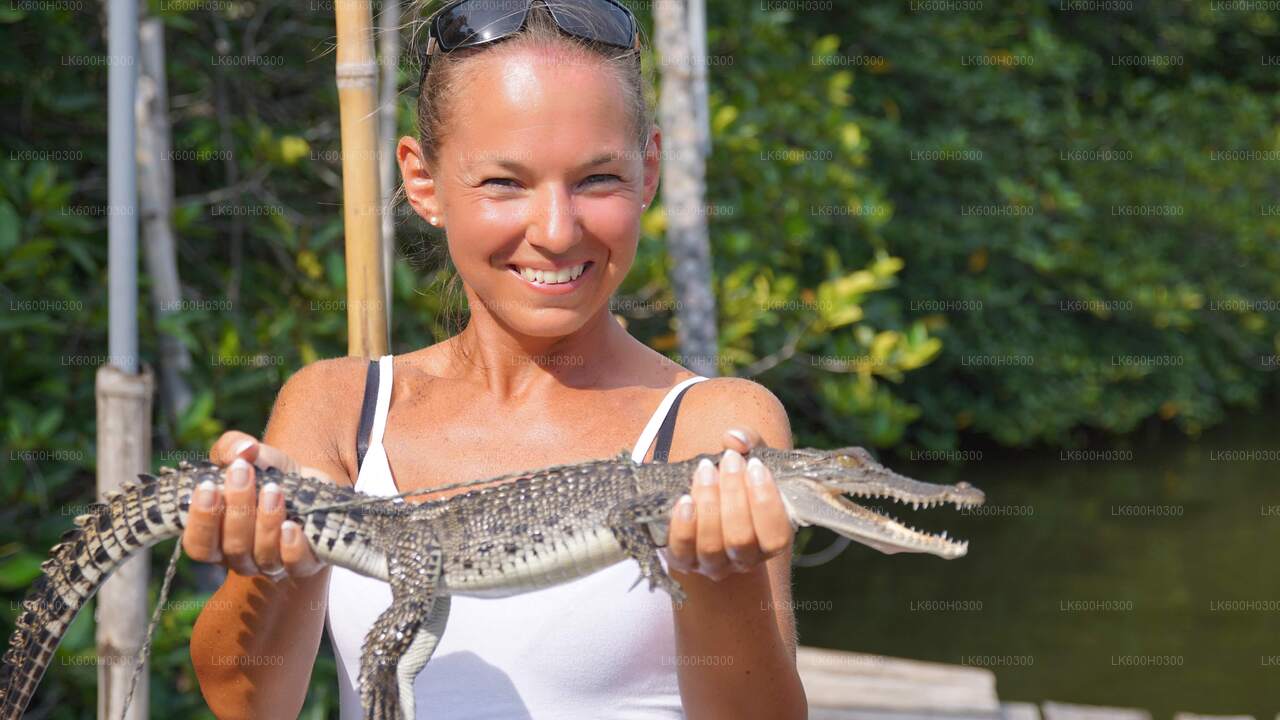 Pobřežní jízda do Galle z Colomba