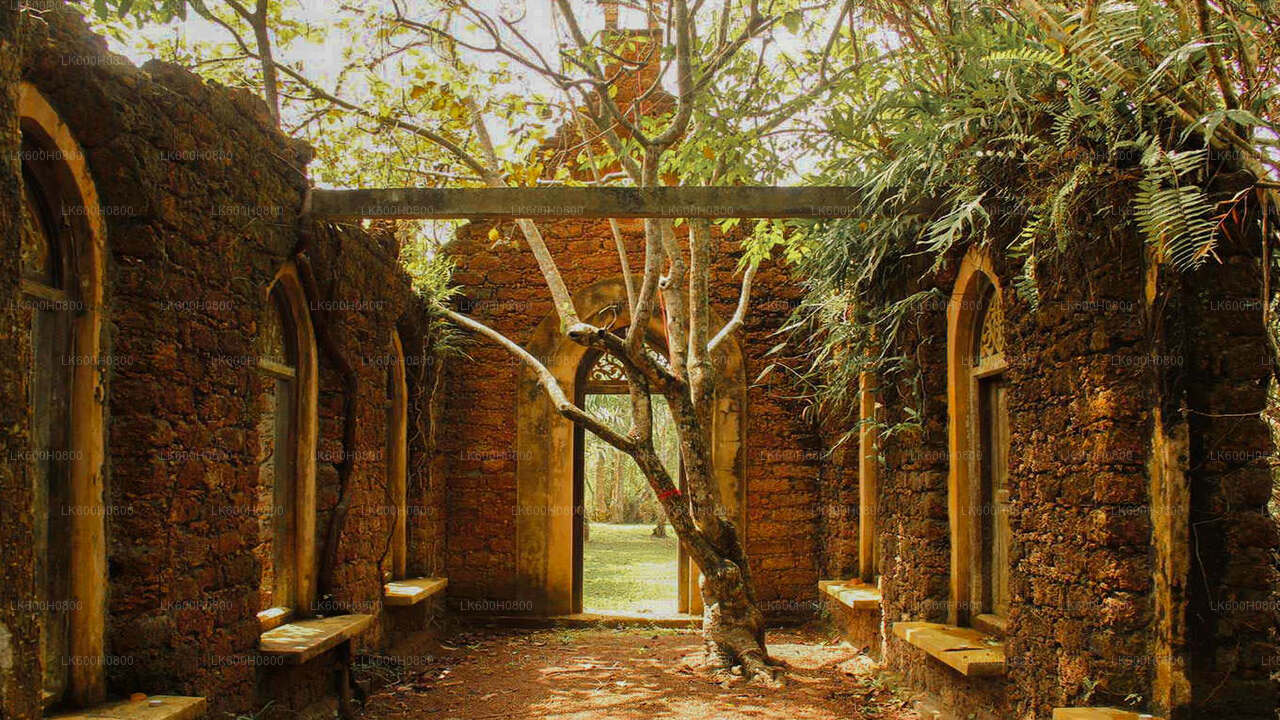 Bentota City Tour from Colombo