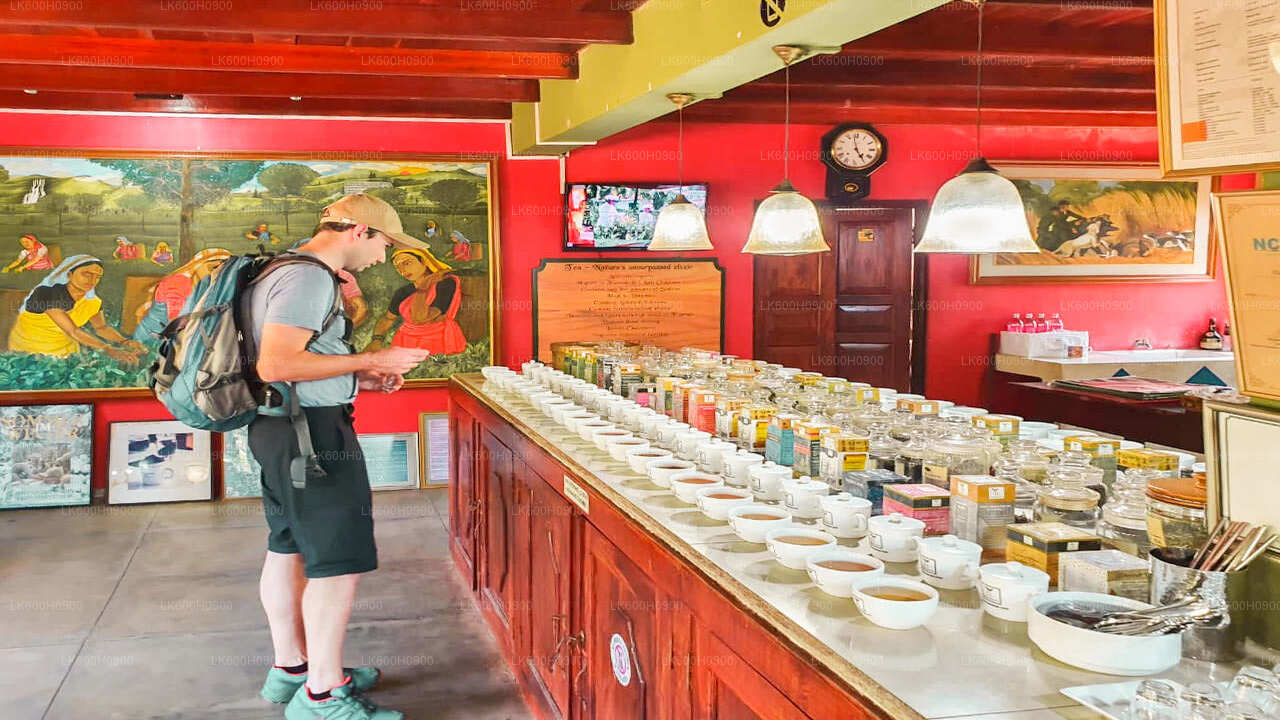 Hlavní body jižního pobřeží z Colomba