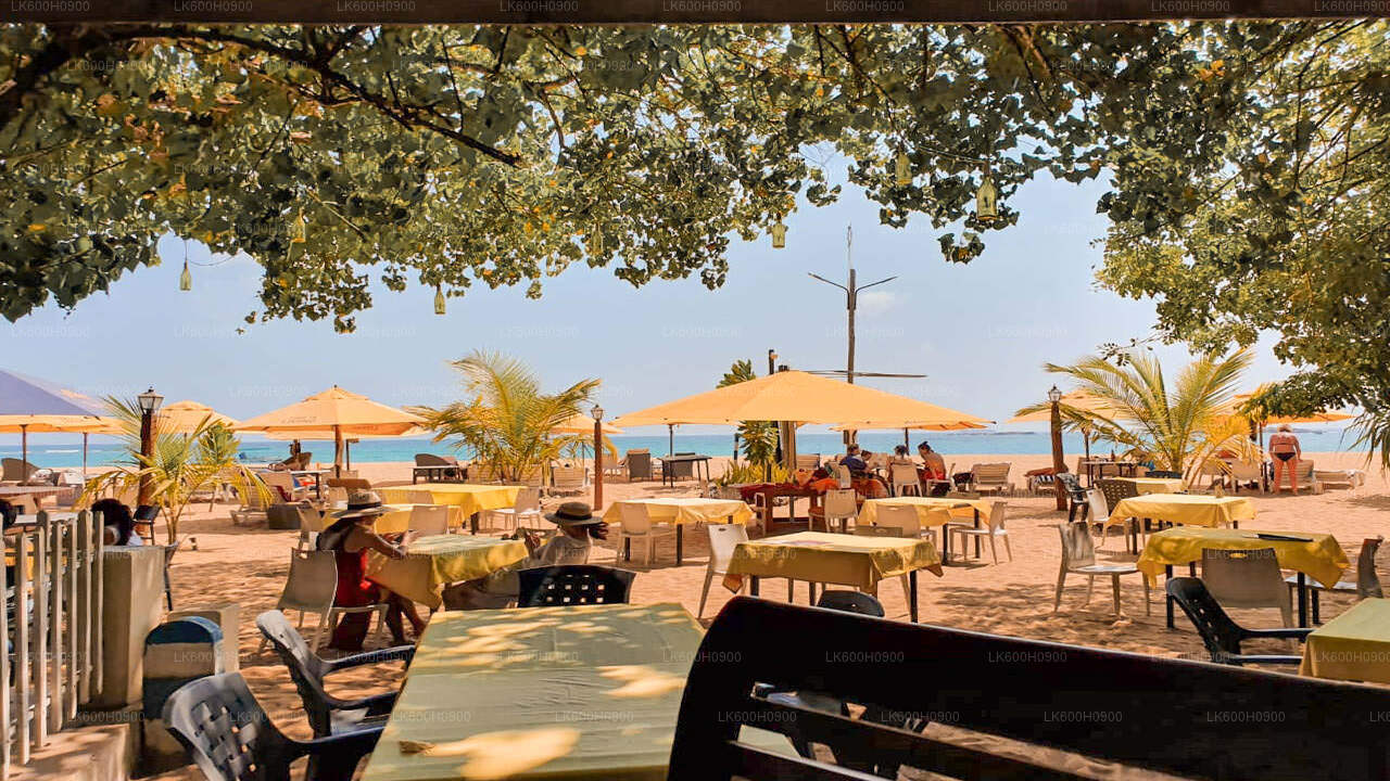 Hlavní body jižního pobřeží z Colomba