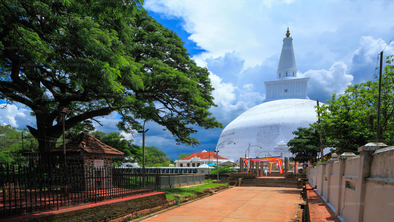 Posvátné město Anuradhapura z Colomba