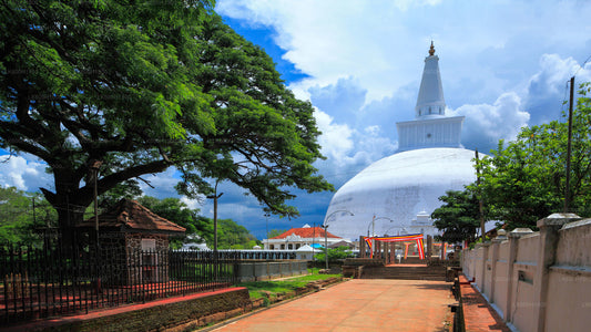 Posvátné město Anuradhapura z Colomba