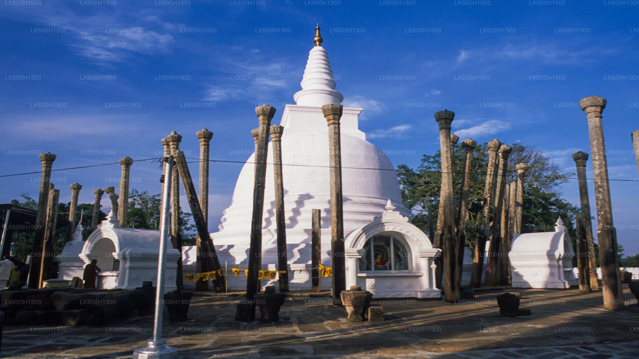 Posvátné město Anuradhapura z Colomba
