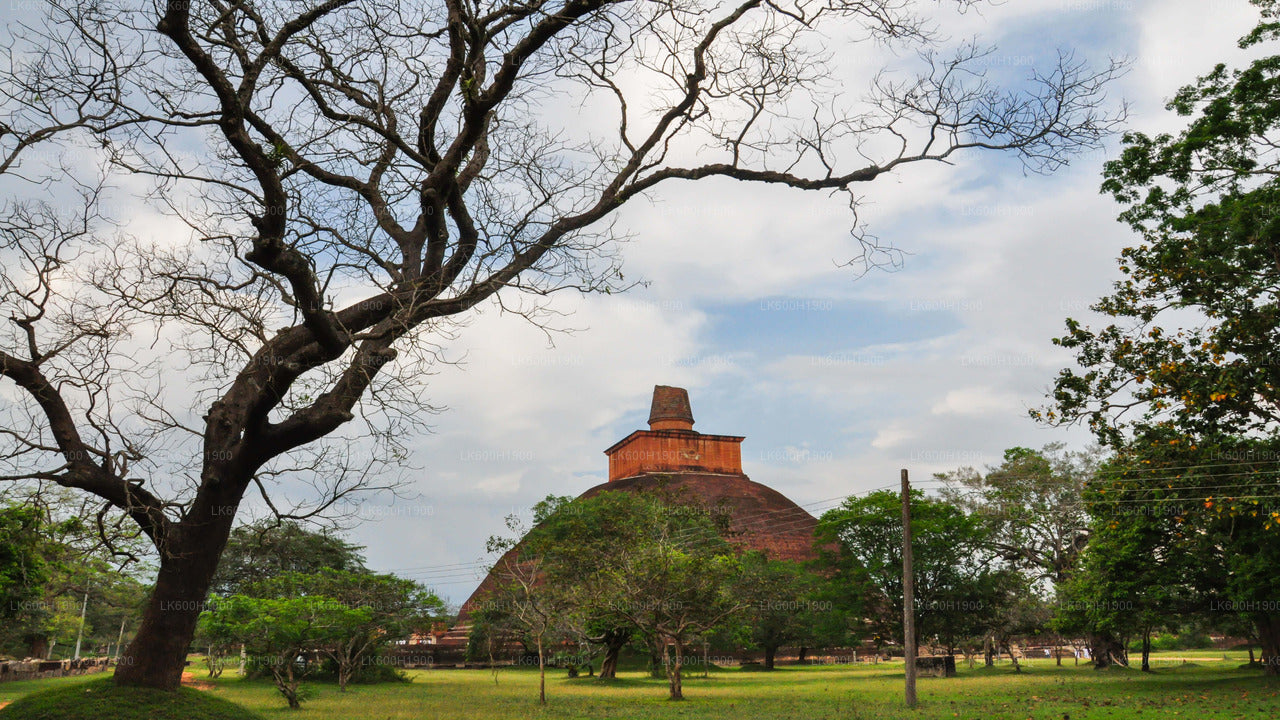 Posvátné město Anuradhapura z Colomba