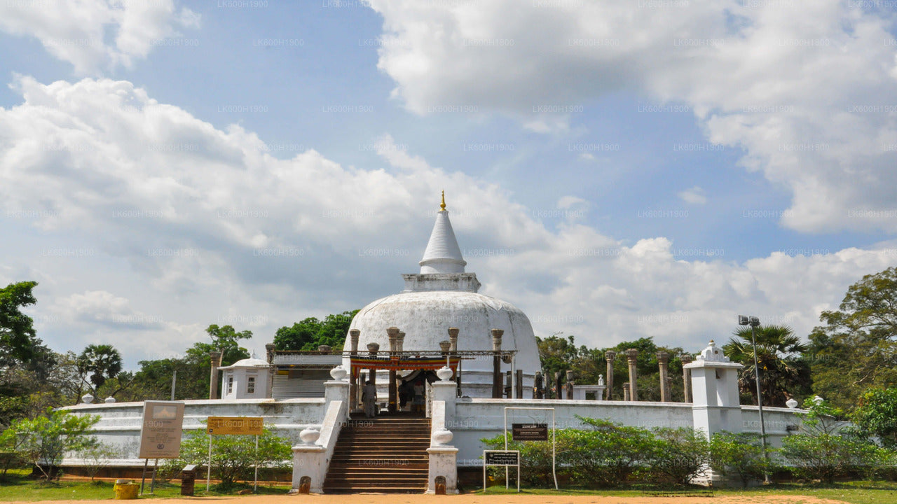 Posvátné město Anuradhapura z Colomba
