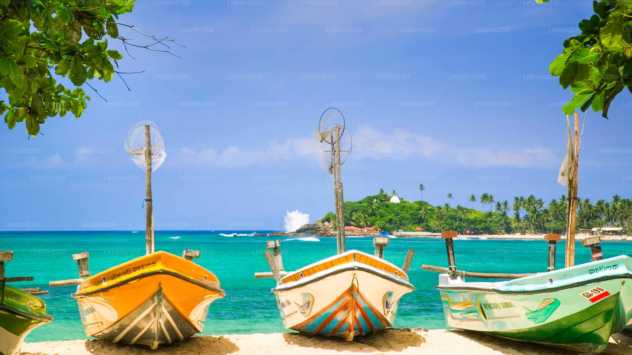 Prohlídka města Negombo z Colomba