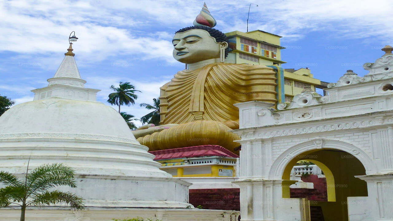 Výlet z Galle za skrytými chrámy a odlehlými pobřežími