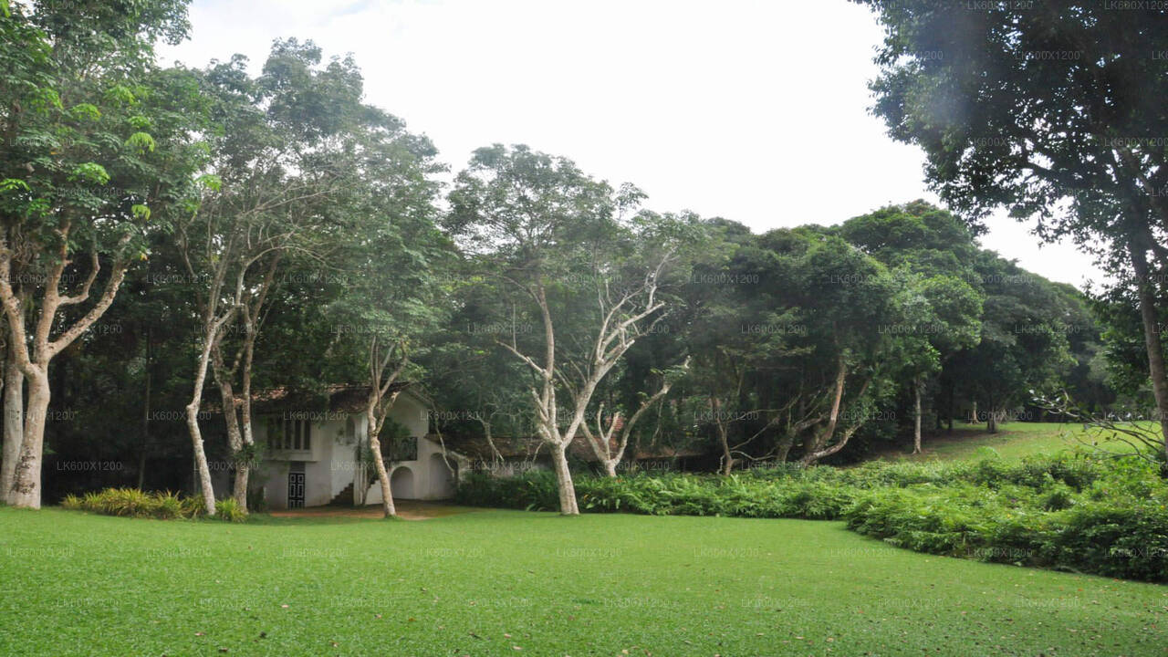 Prohlídka města Bentota z Hikkaduwy