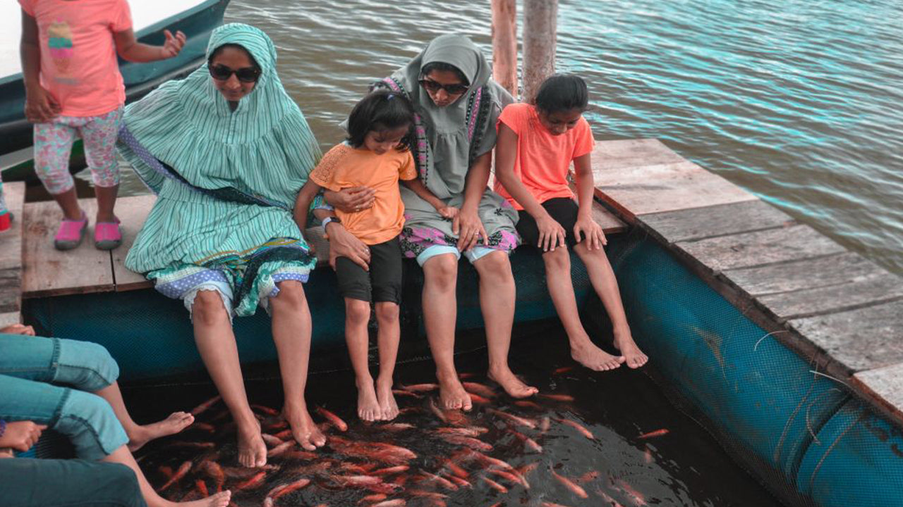 Balapitiya, Handunugoda a Galle z Bentoty