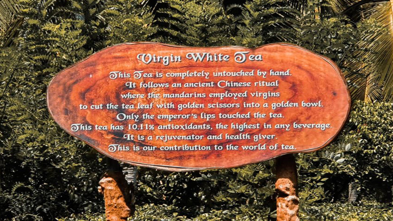 Balapitiya, Handunugoda a Galle z Bentoty