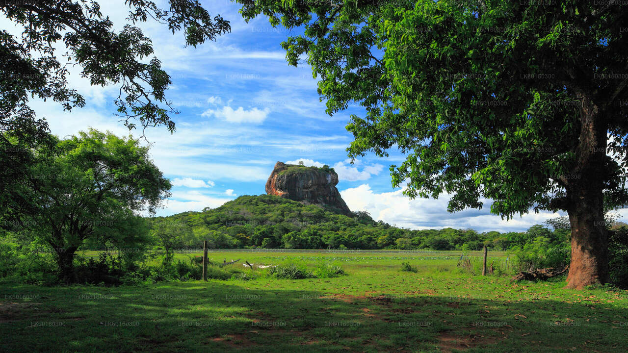 Jeskyně Sigiriya a Dambulla z Kalutara