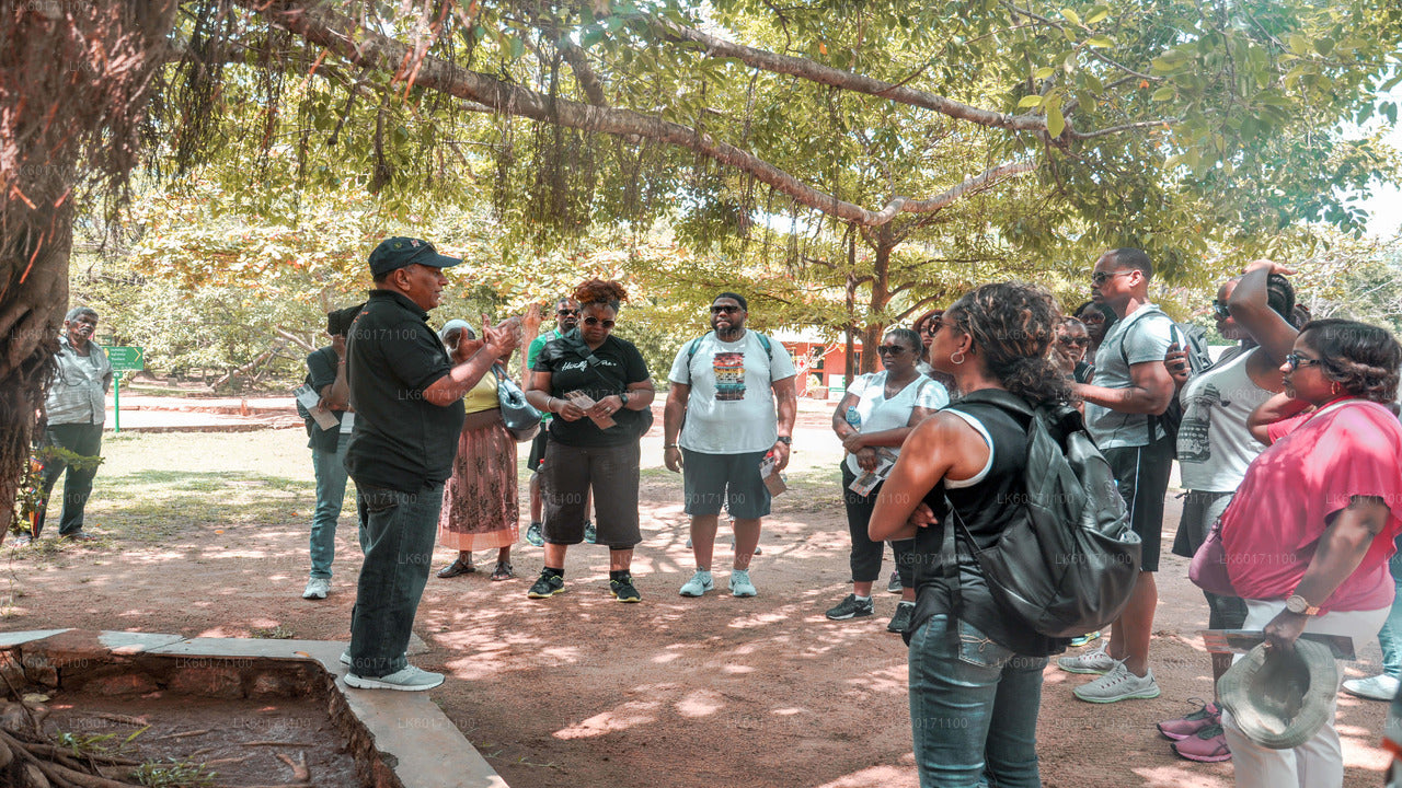 Sigiriya a Dambulla z Kandy