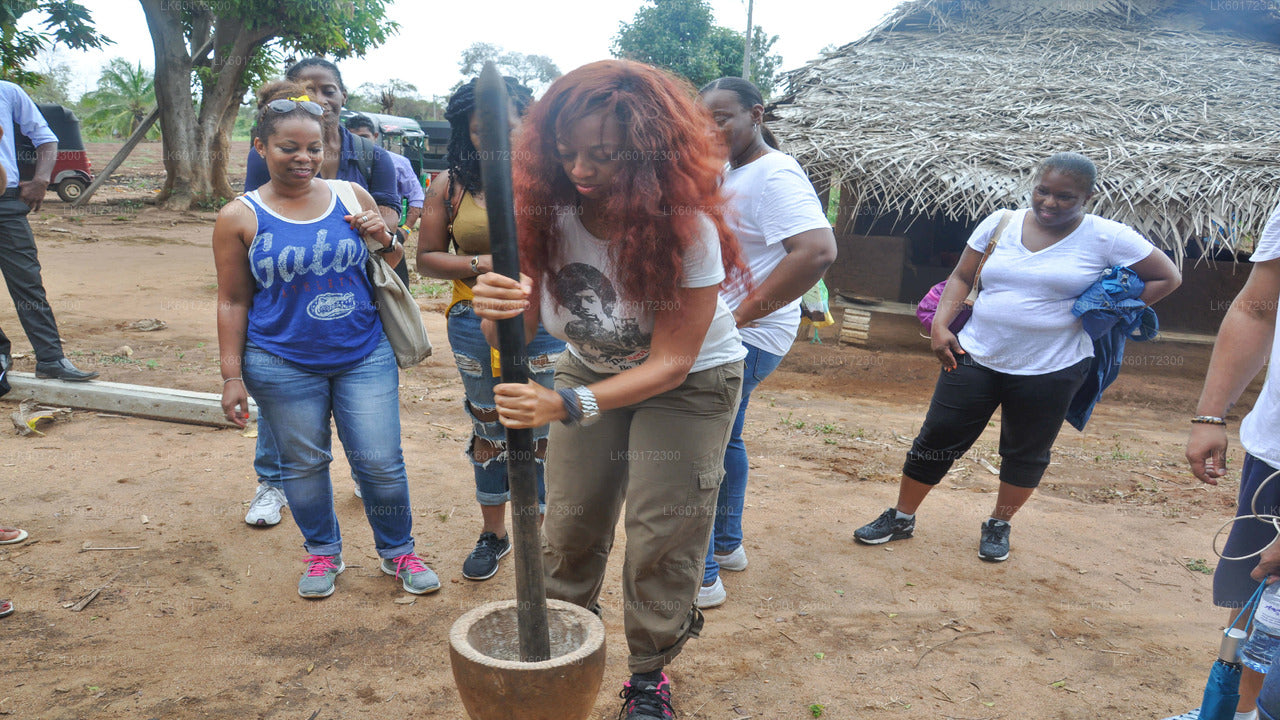 Kandy Village Walk with a Local