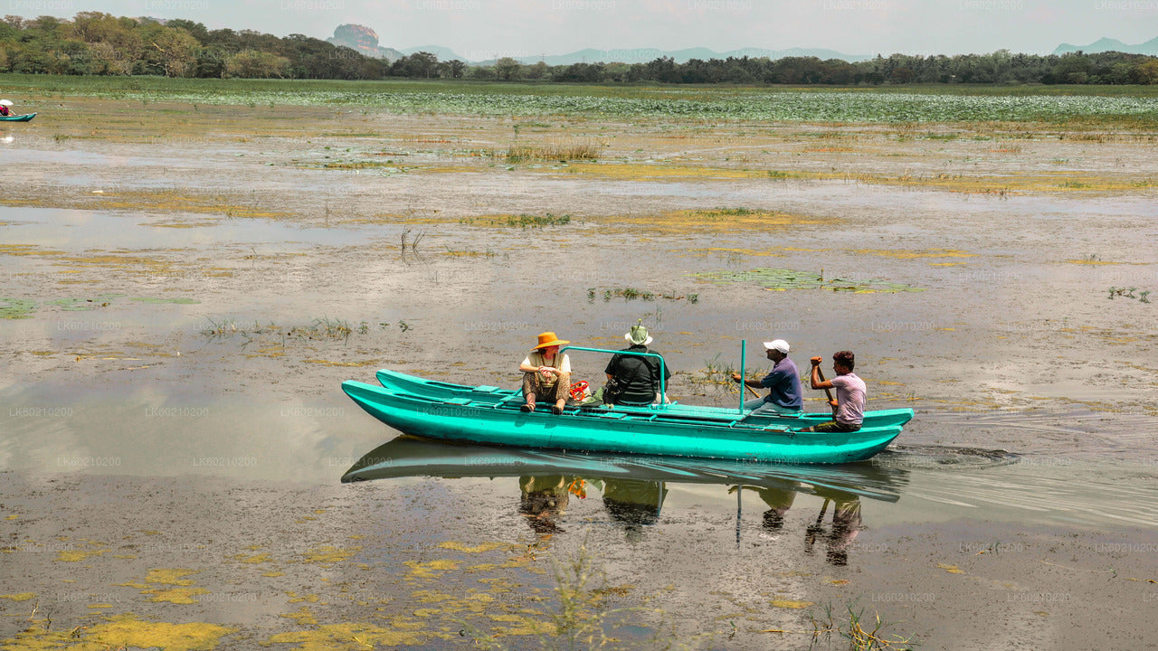 Prohlídka vesnice Sigiriya a oběd ze Sigiriya