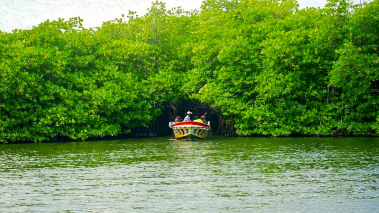 Prohlídka města Bentota z Tangalle