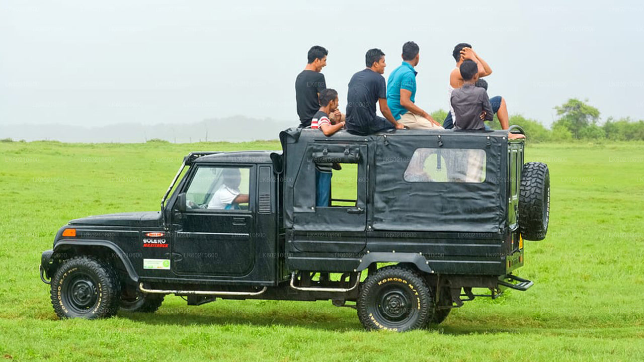 Safari národního parku Bundala z Tangalle