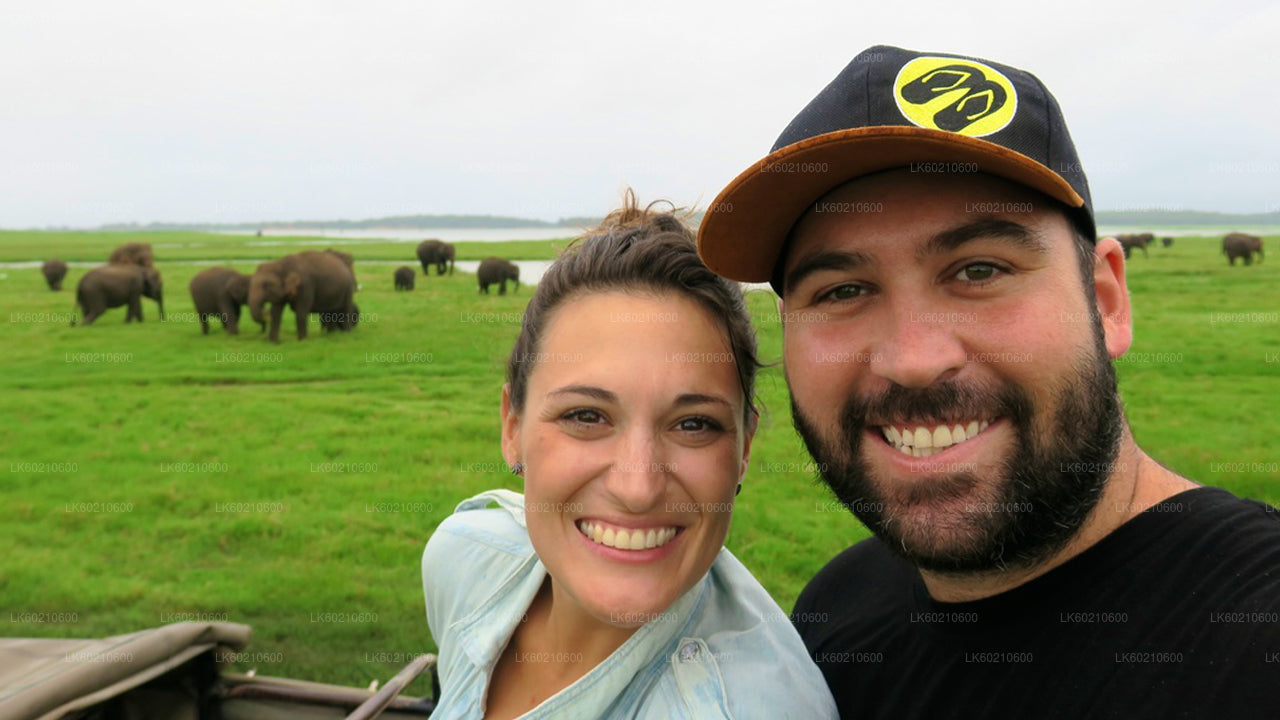 Safari národního parku Bundala z Tangalle