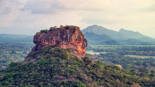 Sigiriya Rock a safari divokých slonů z Pasikudy