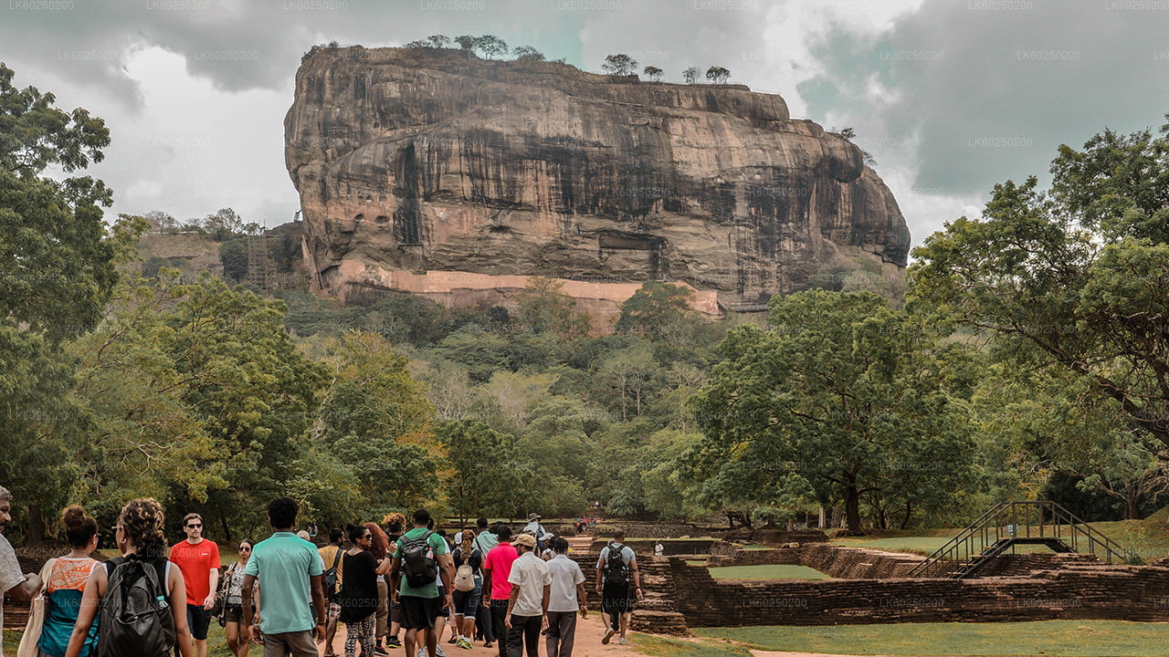 Sigiriya Rock a safari divokých slonů z Pasikudy