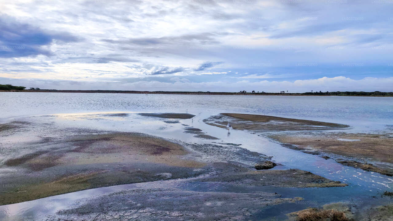 Safari v národním parku Bundala z Dikwelly