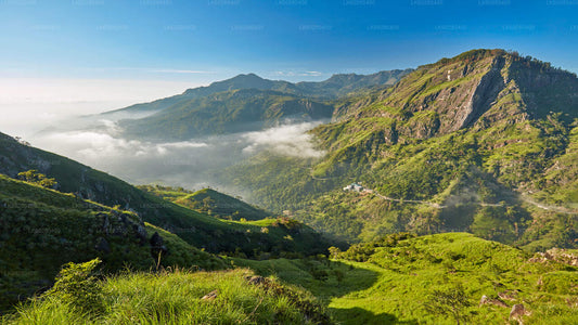 A scenic view of the Ella Village in Sri Lanka with a lush green landscape and a misty mountain range in the background.