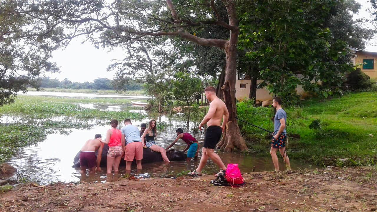 Safari na sloních hřbetech z Habarany