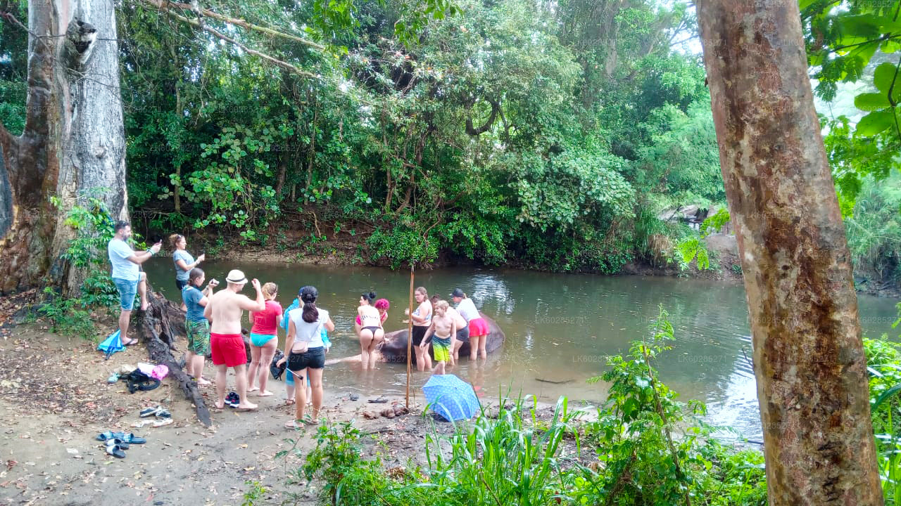 Safari na sloních hřbetech z Habarany