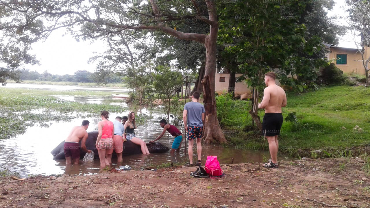 Safari na sloních hřbetech z Habarany