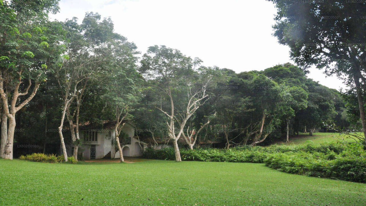 Prohlídka města Bentota z Weligamy