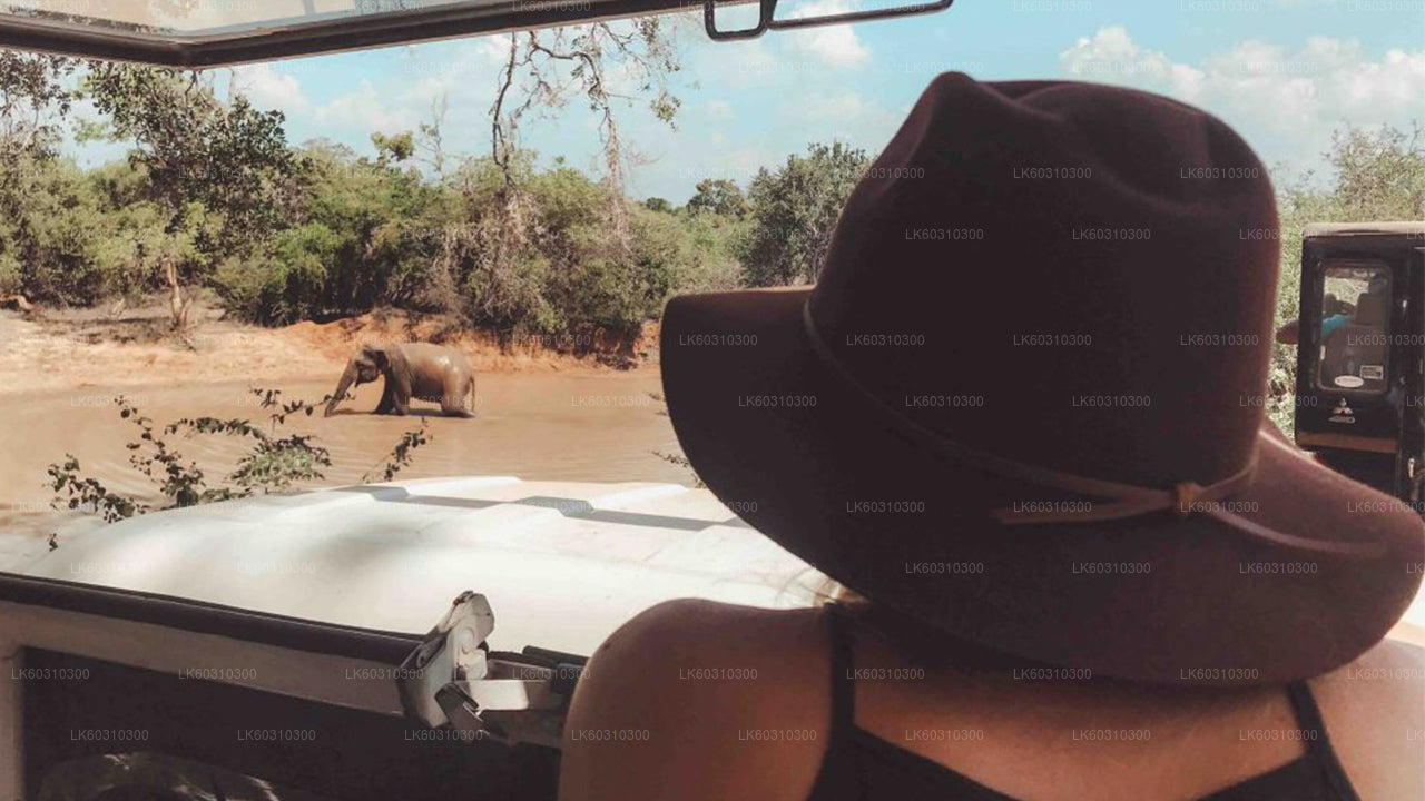 Safari národního parku Yala z Ahangamy