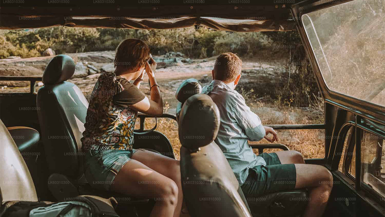 Safari národního parku Yala z Ahangamy