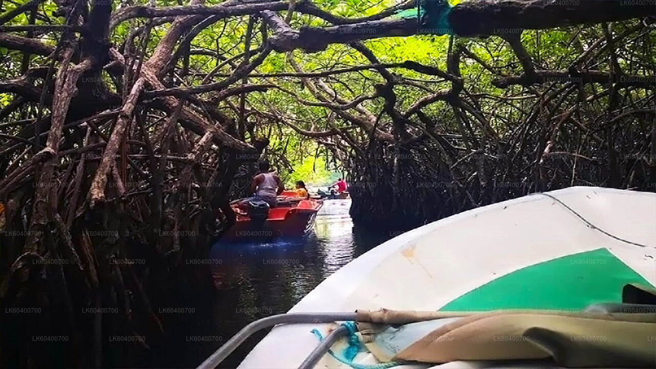 Prohlídka Bentoty a Galle z Ahungally