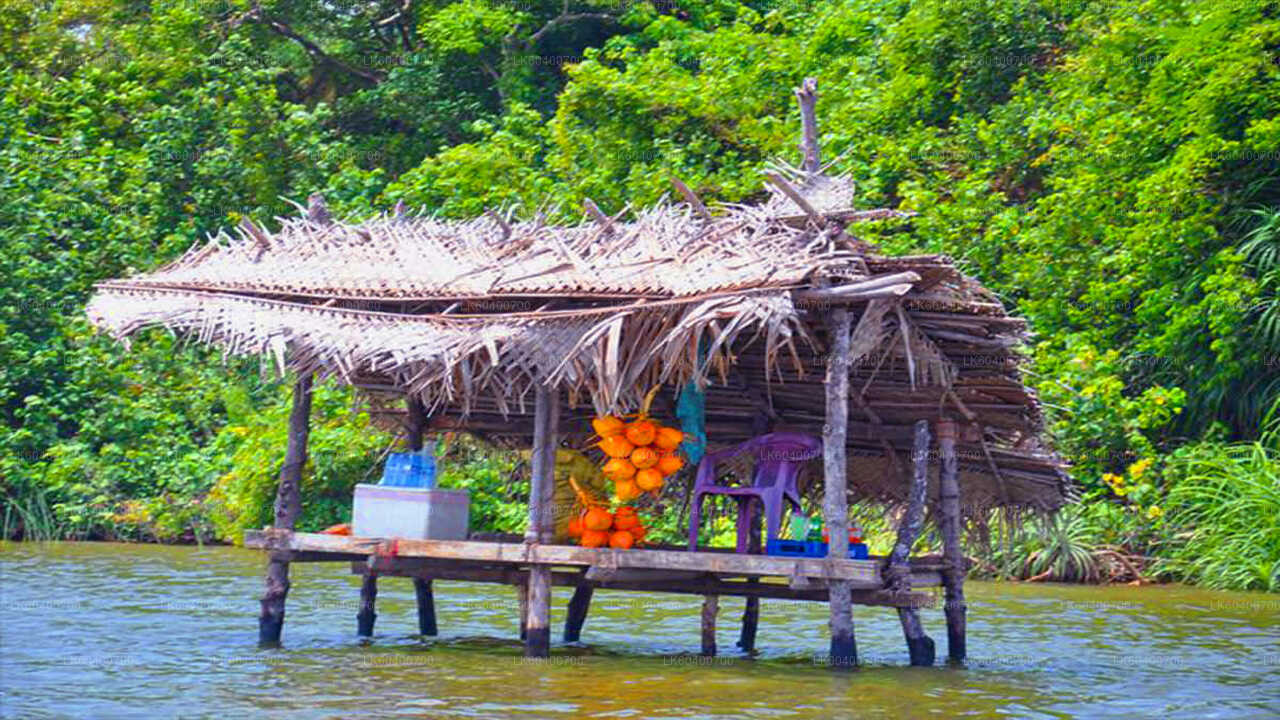 Prohlídka Bentoty a Galle z Ahungally