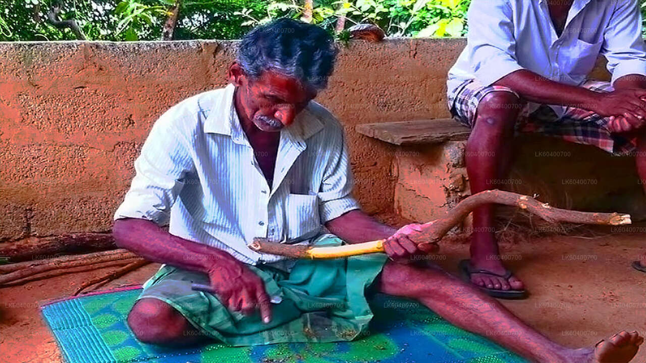 Prohlídka Bentoty a Galle z Ahungally