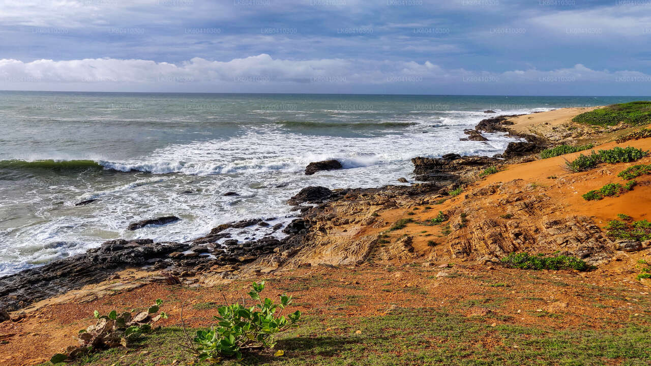 Safari národního parku Bundala z Unawatuny