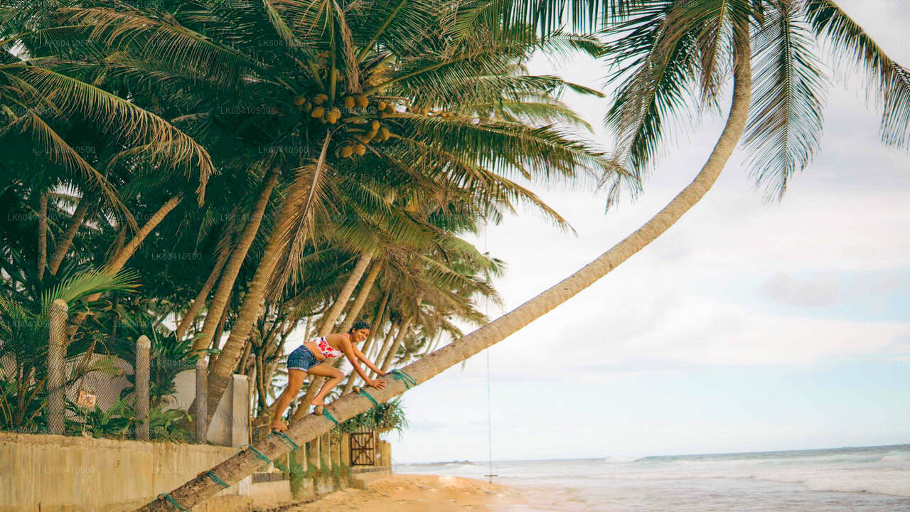 Hlavní body jižního pobřeží z Unawatuny