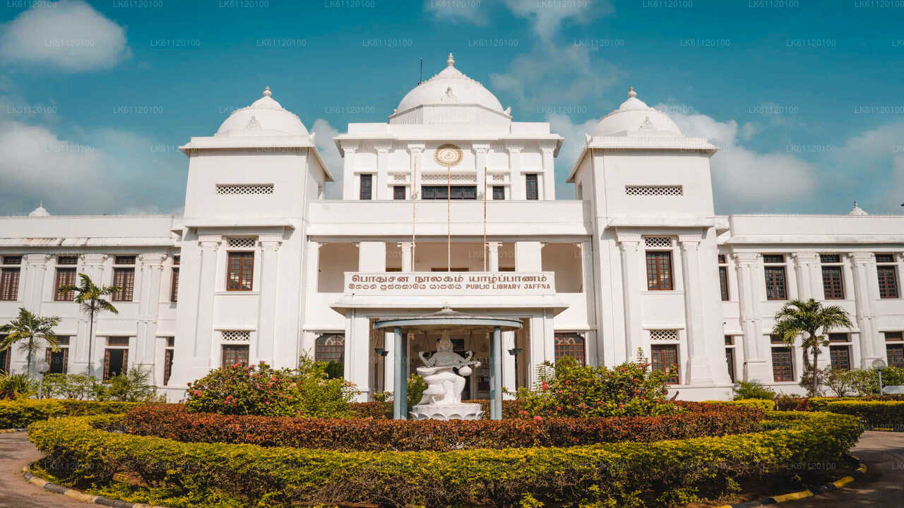 جولة مدينة جافنا