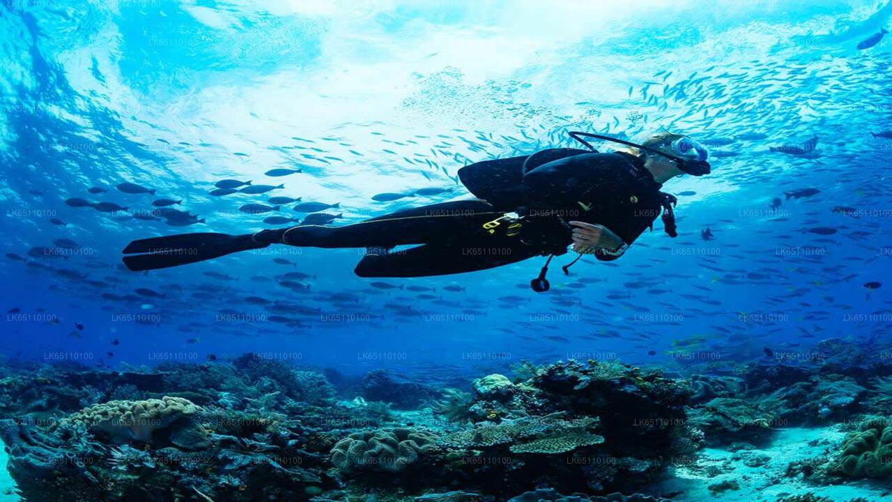 Profesionální potápění z Bentoty