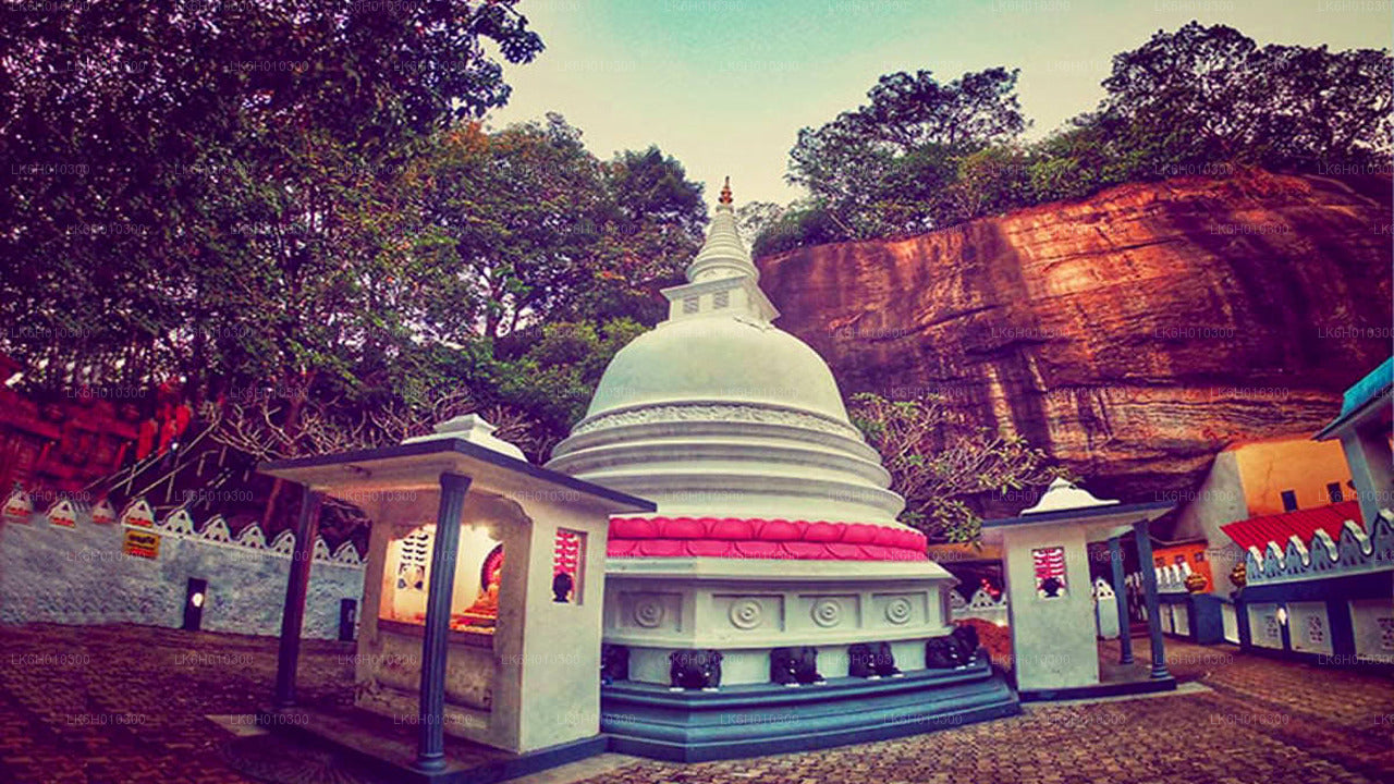 Temple Run by Tuk Tuk from Colombo