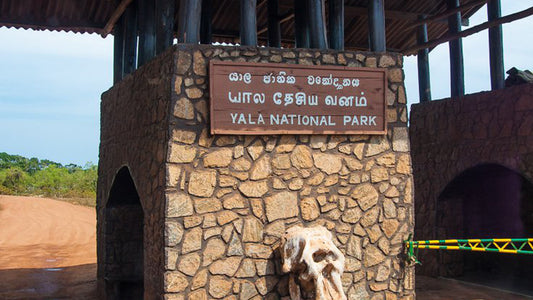 Entrance gate of Yala National Park with a signboard and a stone structure.